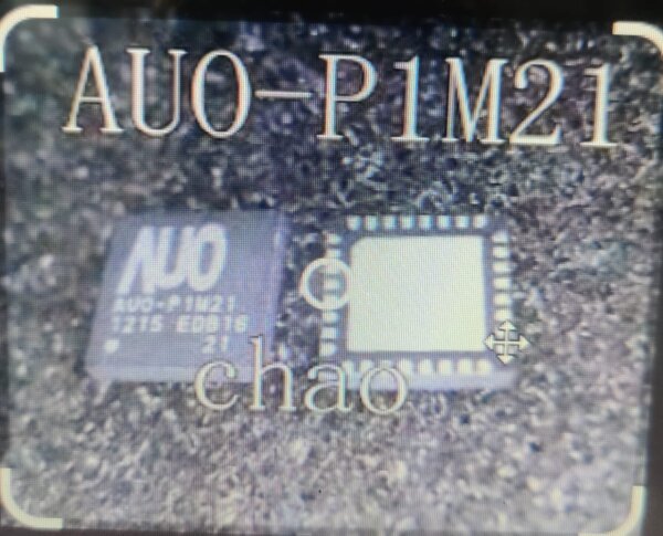 AUO P1M21 IC