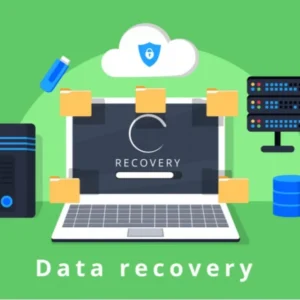 Data Recovery